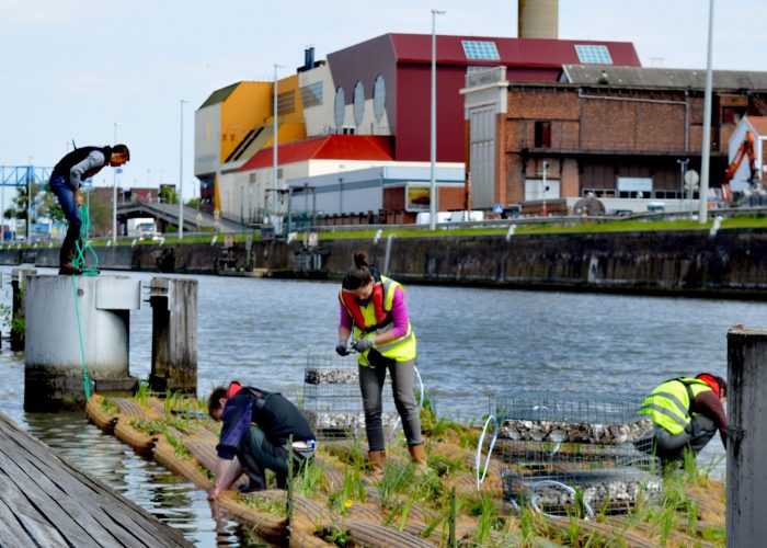 4 installation îles - Copie